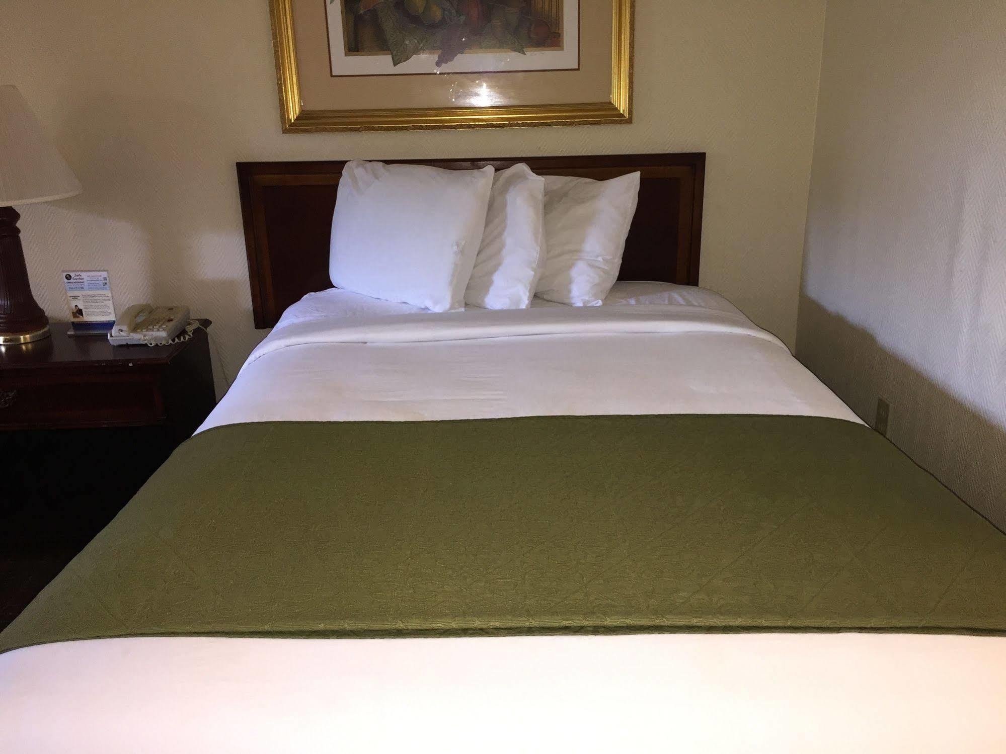 Sawgrass Inn & Conference Center بلانتيشن المظهر الخارجي الصورة